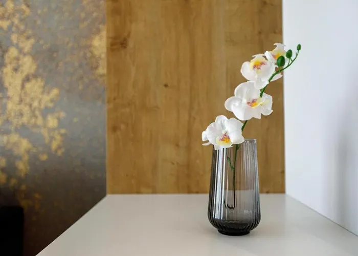 Apartamento Urban Chic - Studio - Odra View&witolda *